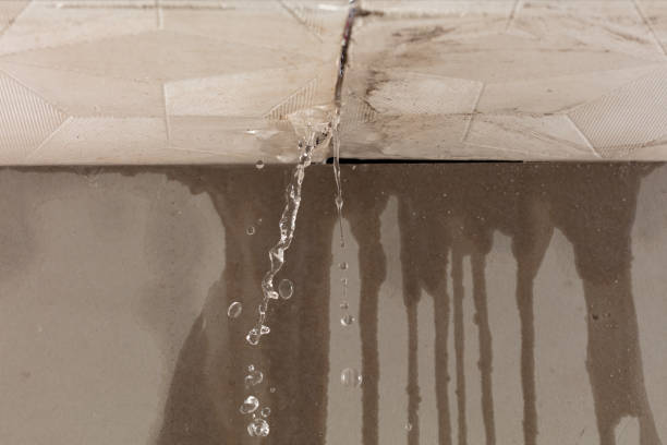 Professional Structural Drying technician working in Liberty, TX